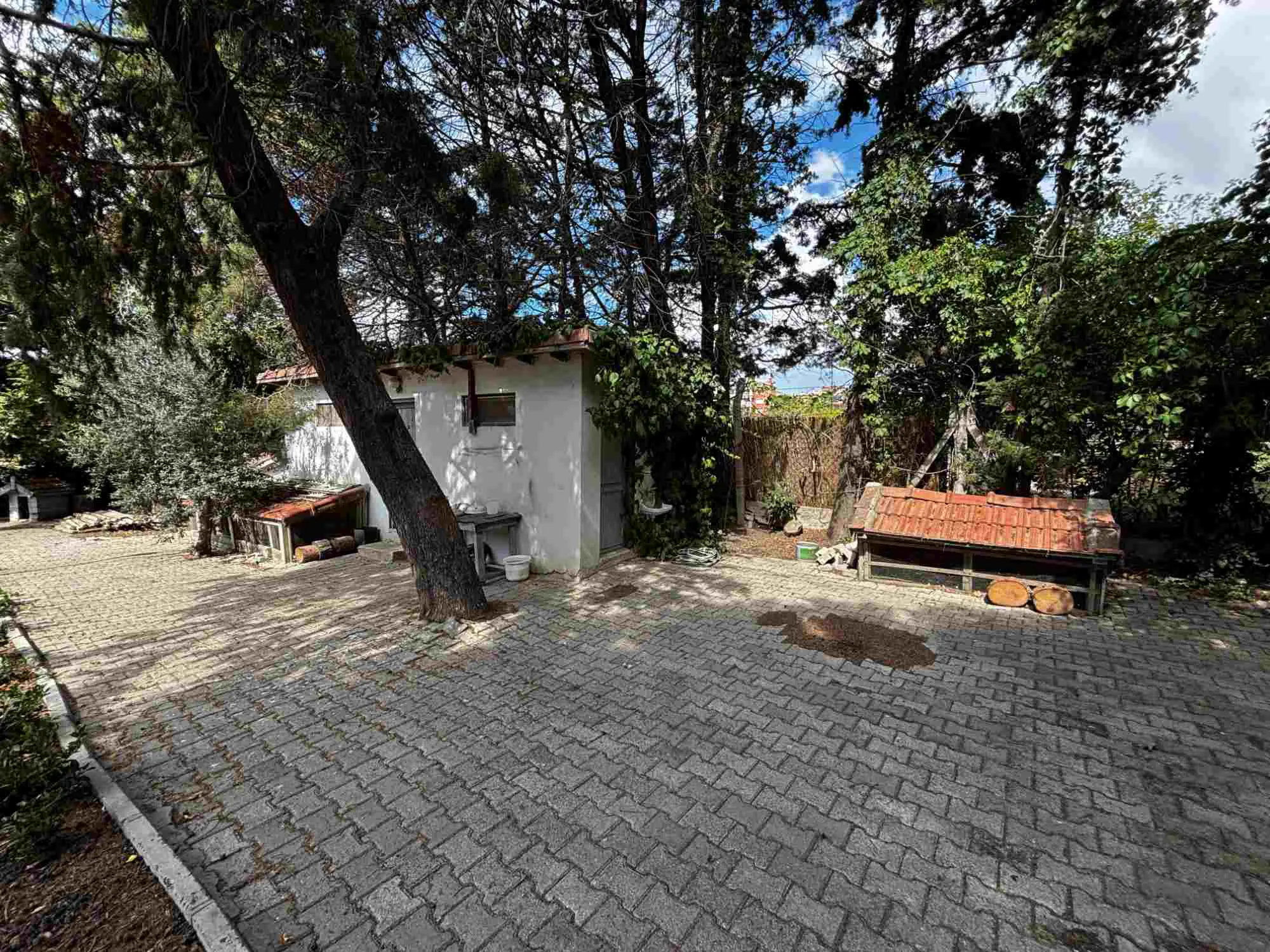 Property image 45