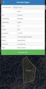 AYDIN KARPUZLU ÇOBANİSA’DA MÜSTAKİL PARSEL ZEYTİNLİK