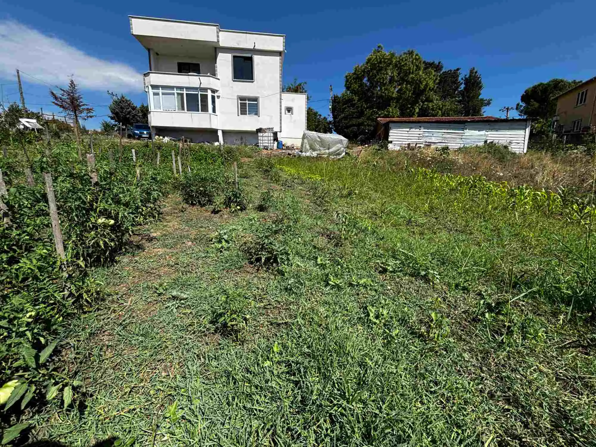 Property image 21
