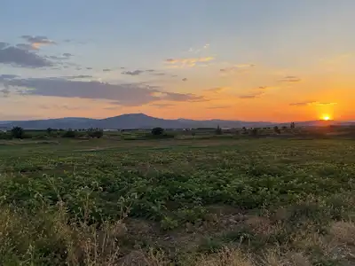 KUMLUCA BÜYÜK ALANDA 6363 M2 TARLA