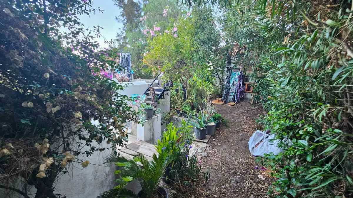 Property image 29