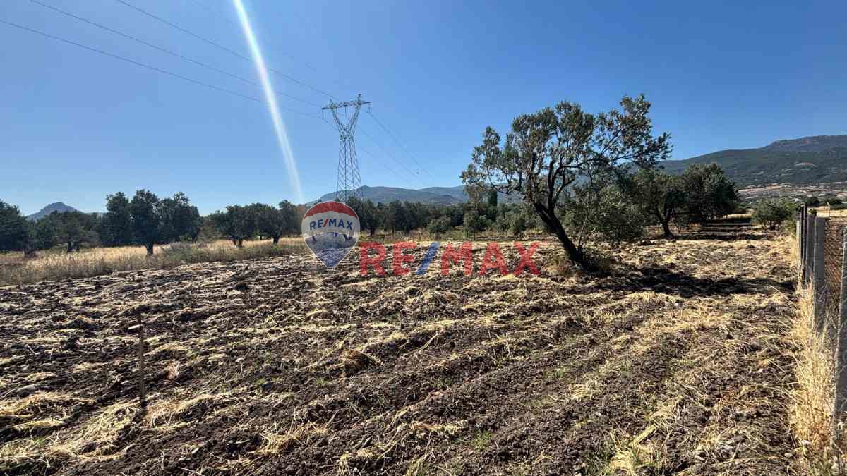 ÇITAK KÖYÜ'NDE ZEYTINLIK IÇIN UYGUN HOBI BAHÇESI