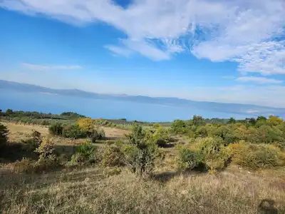 REMAX ŞEHİR 2 'DEN İZNİK GÖLLÜCE'DE SATILIK TARLA