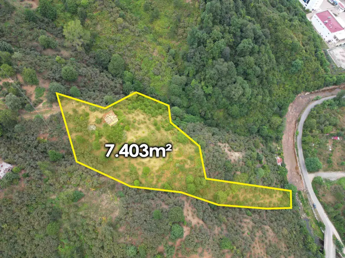 REMAX NADİR'DEN GİRESUN ERİKLİMANI GAZİLER TEPESİNDE 7.400 M² FINDIK BAHÇESİ
