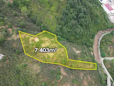 REMAX NADİR'DEN GİRESUN ERİKLİMANI GAZİLER TEPESİNDE 7.400 M² FINDIK BAHÇESİ