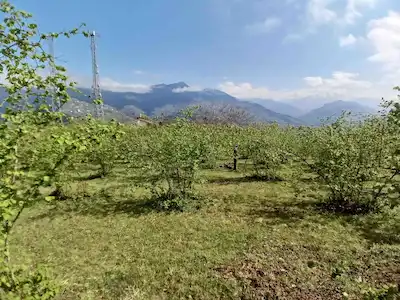 MAÇKA MATARACI"DA SATILIK PANORAMİK MANZARALI ARAZİ