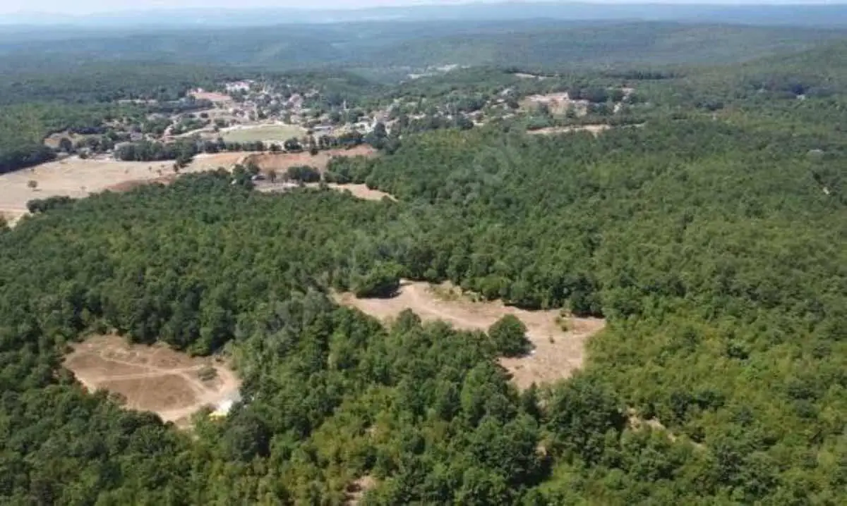 KIRKLARELİ VİZE AKSİCİM KÖYÜ 3.575M2 YATIRIMLIK TARLA