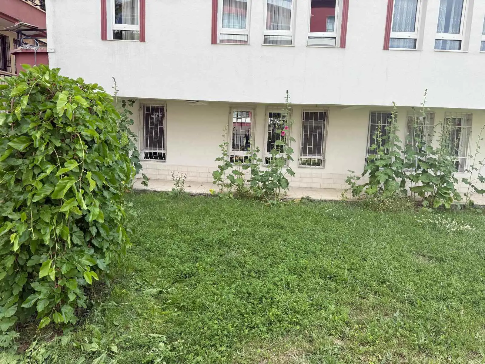 Property image 27