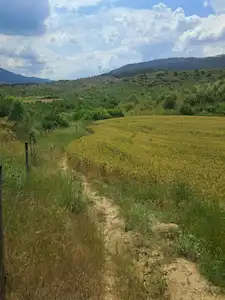 SAKARYA TARAKLI’DA MÜSTAKİL PARSEL SATILIK TARLA | PARSEL 5