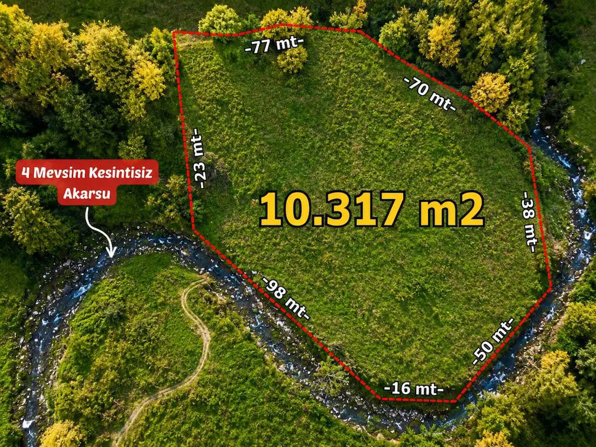 REMAX SOFT BARIŞ BAŞOL'DAN KOCAALİDE 10 DÖNÜM FINDIK BAHÇESİ