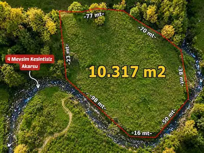 REMAX SOFT BARIŞ BAŞOL'DAN KOCAALİDE 10 DÖNÜM FINDIK BAHÇESİ