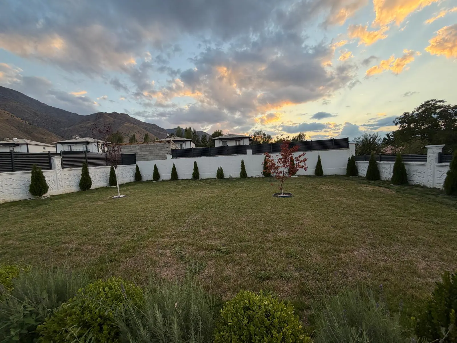 Property image 23