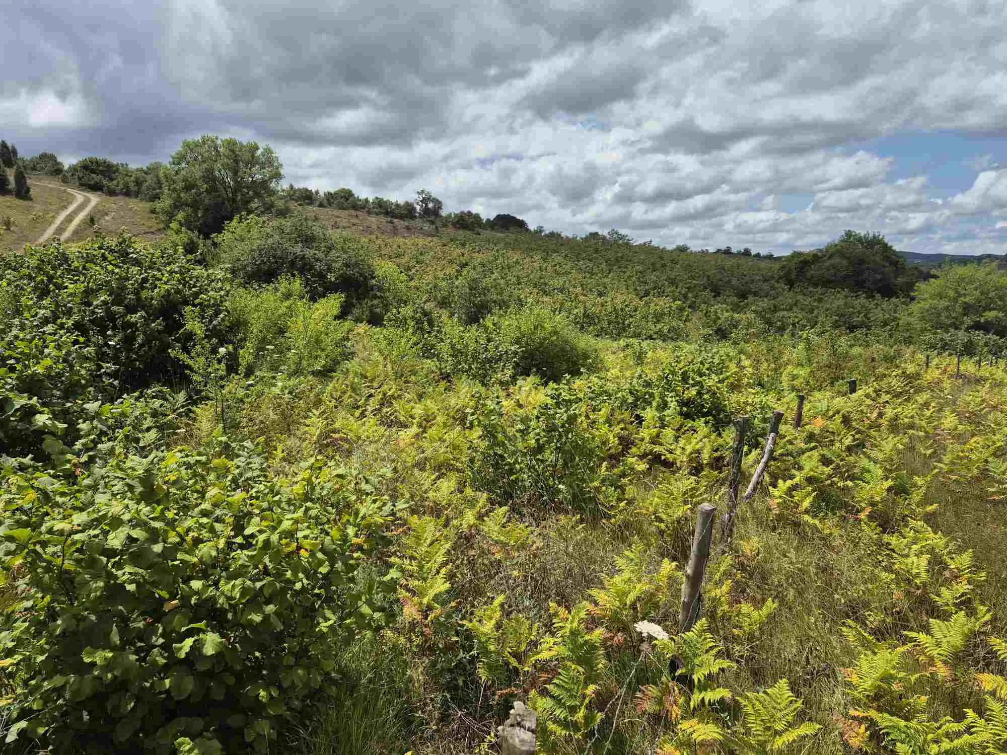 Property image 31