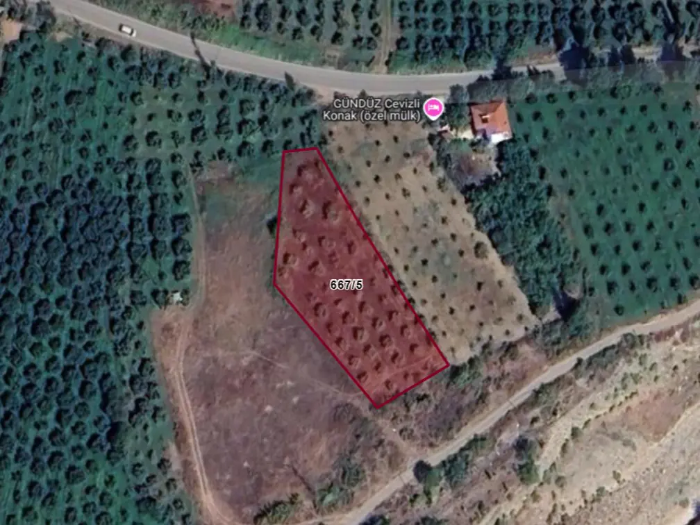 Property image 4
