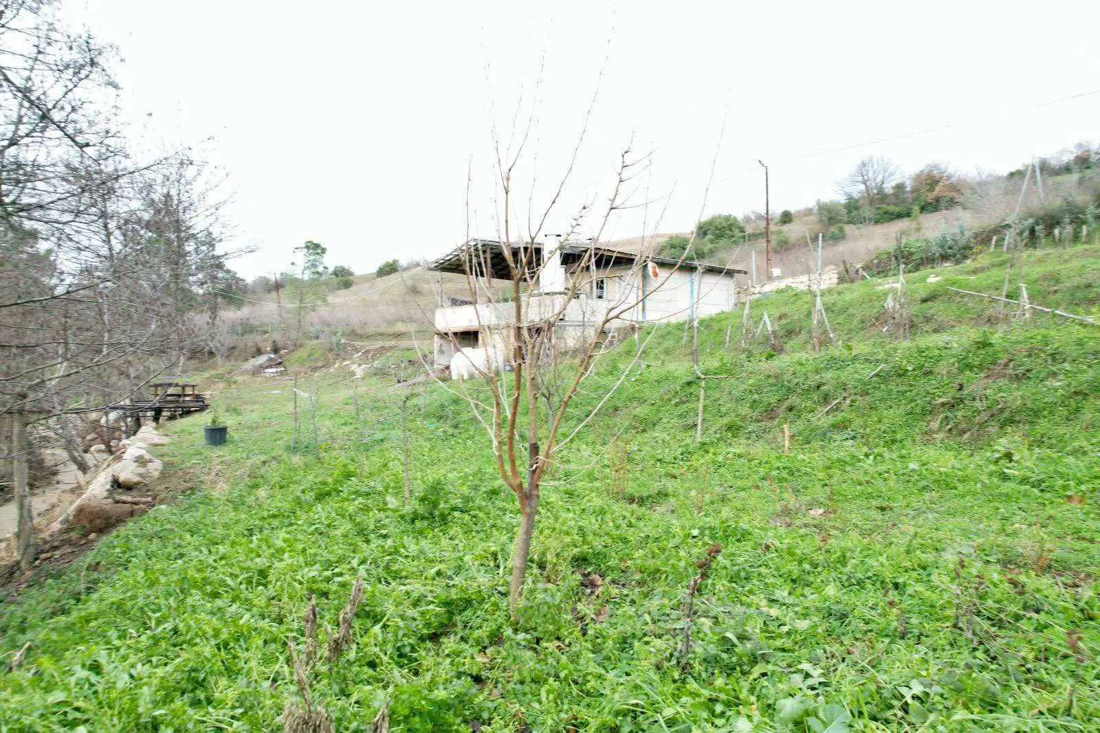 Property image 17