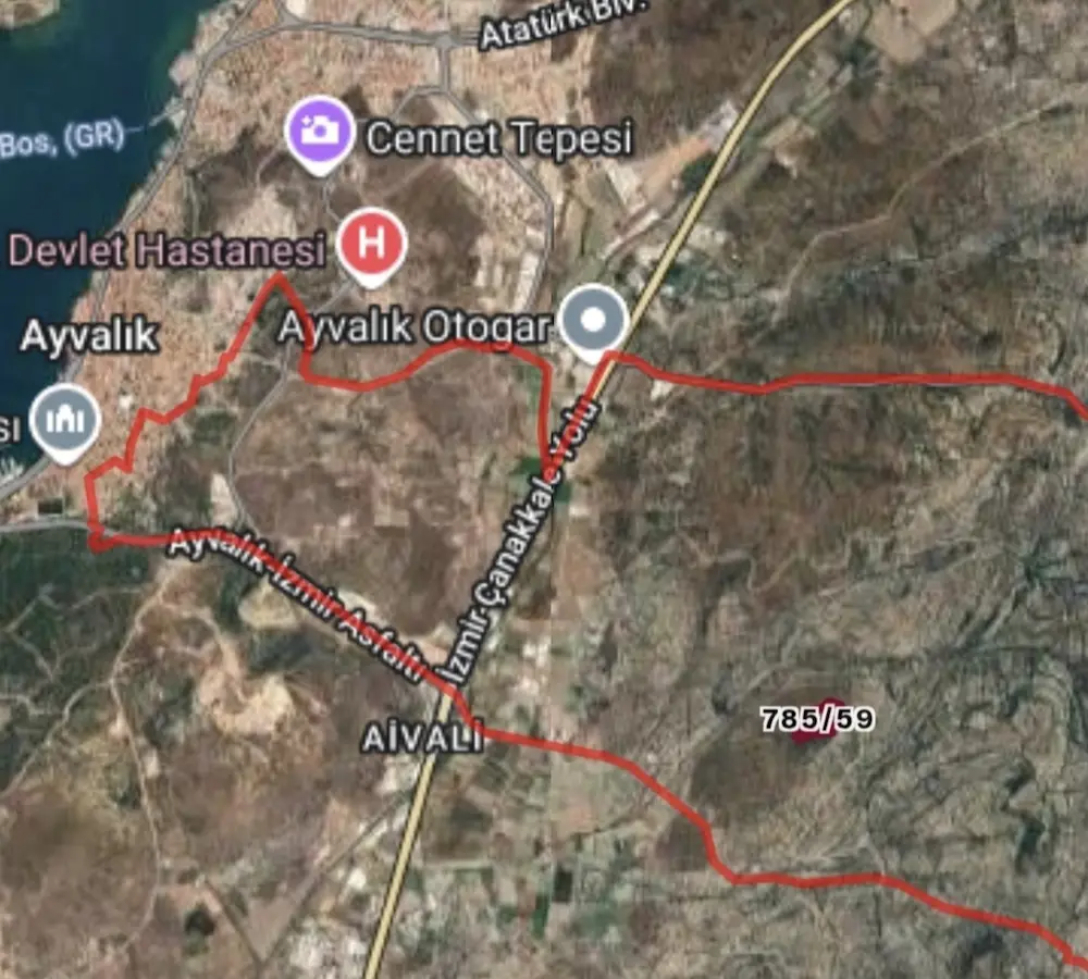 AYVALIK’TA 20,5 DÖNÜM, 300 ADET VERİMLİ AĞAÇLI SATILIK ZEYTİNLİK”