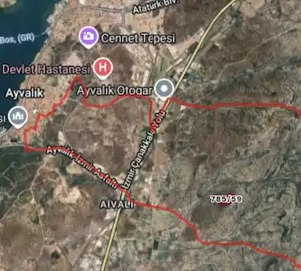 AYVALIK’TA 20,5 DÖNÜM, 300 ADET VERİMLİ AĞAÇLI SATILIK ZEYTİNLİK”