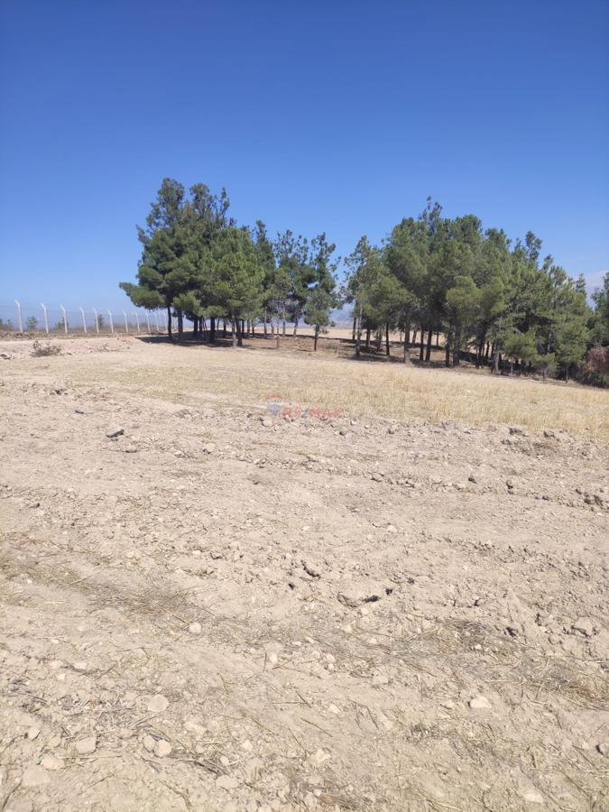 Remax Model Denizli'den Bozkurt'ta Satılık Fırsat Tarla