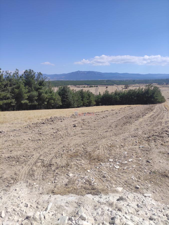 Remax Model Denizli'den Bozkurt'ta Satılık Fırsat Tarla