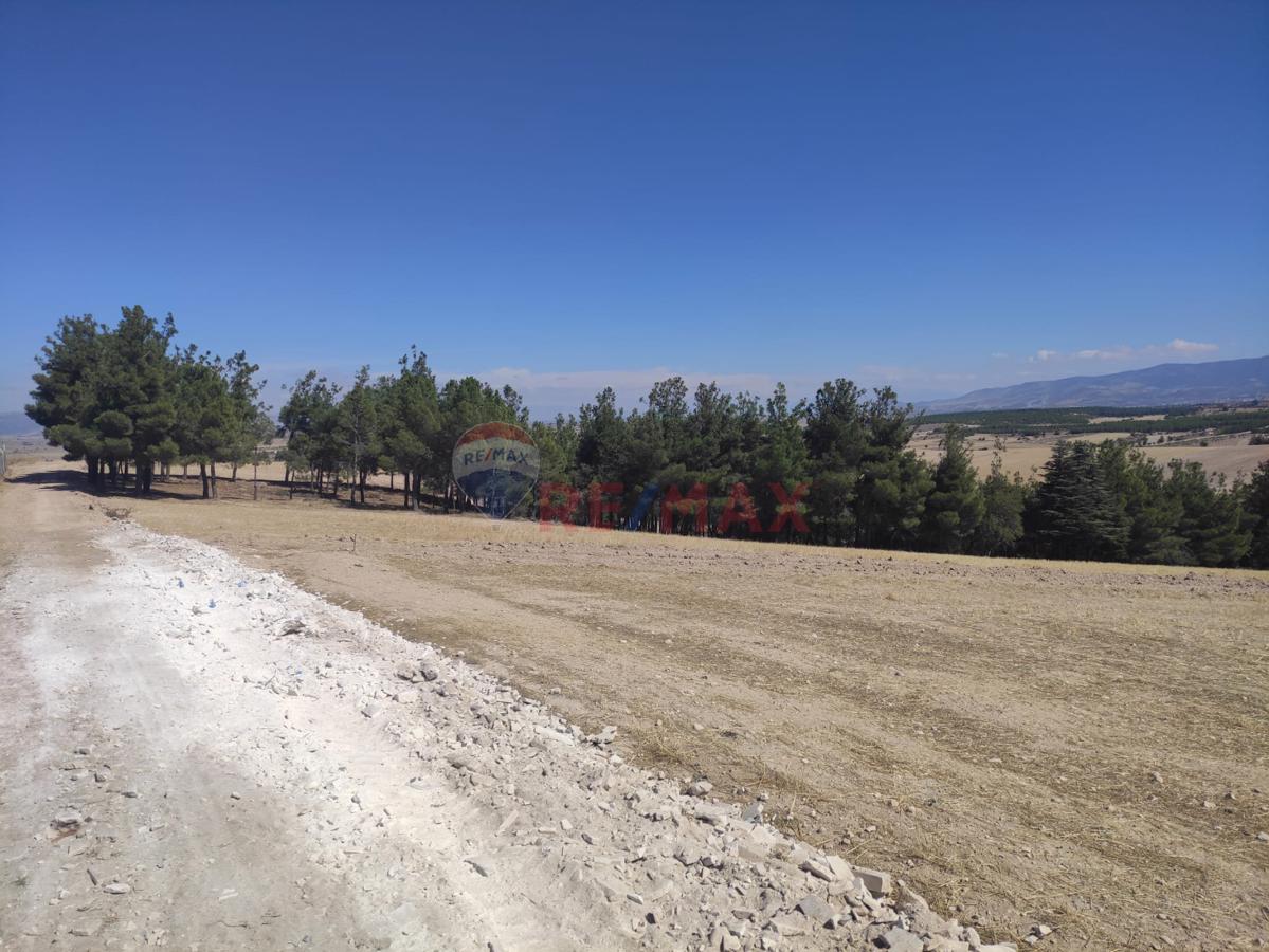 Remax Model Denizli'den Bozkurt'ta Satılık Fırsat Tarla