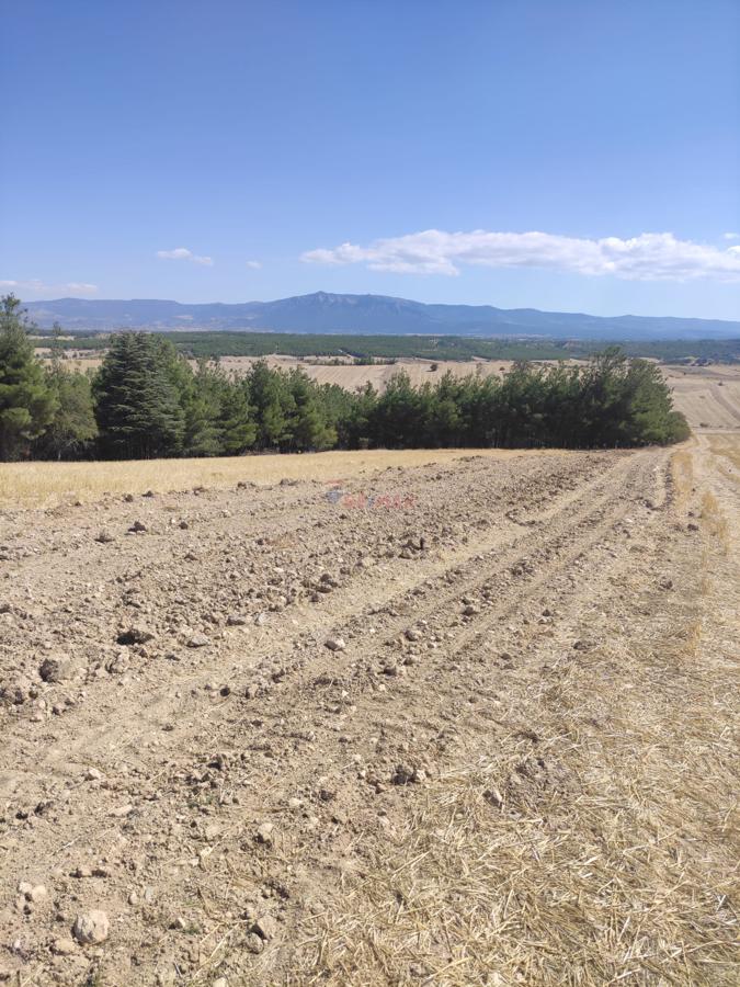 Remax Model Denizli'den Bozkurt'ta Satılık Fırsat Tarla