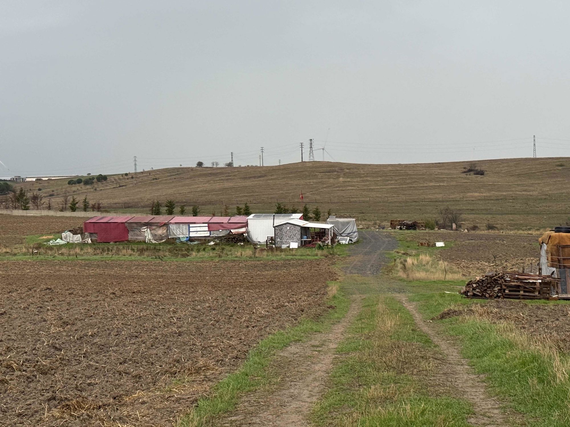 ERGENE ULAŞ OSB YAKINI YATIRIMA UYGUN SATILIK TARLA