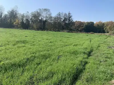 İZMİT YENİCE MAHALLESİ'NDE 2170 M2 TARLA SATILIKTIR