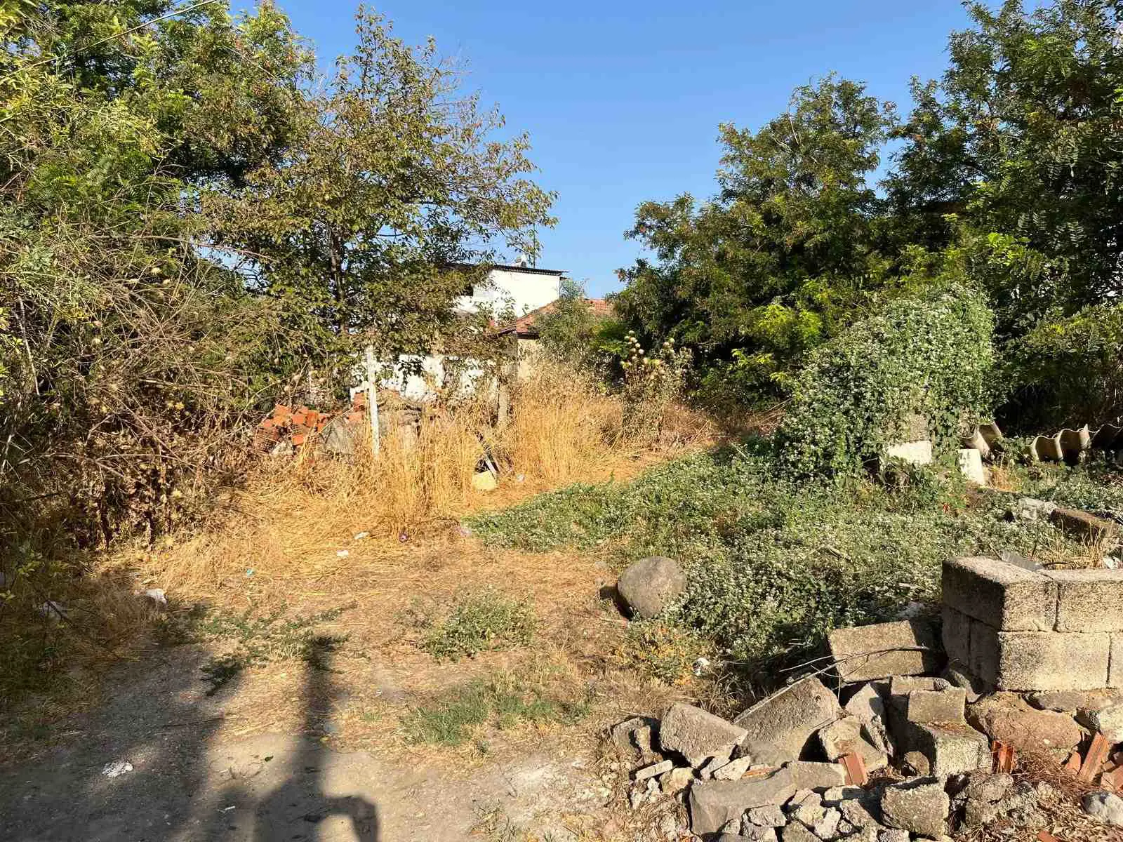 Property image 22