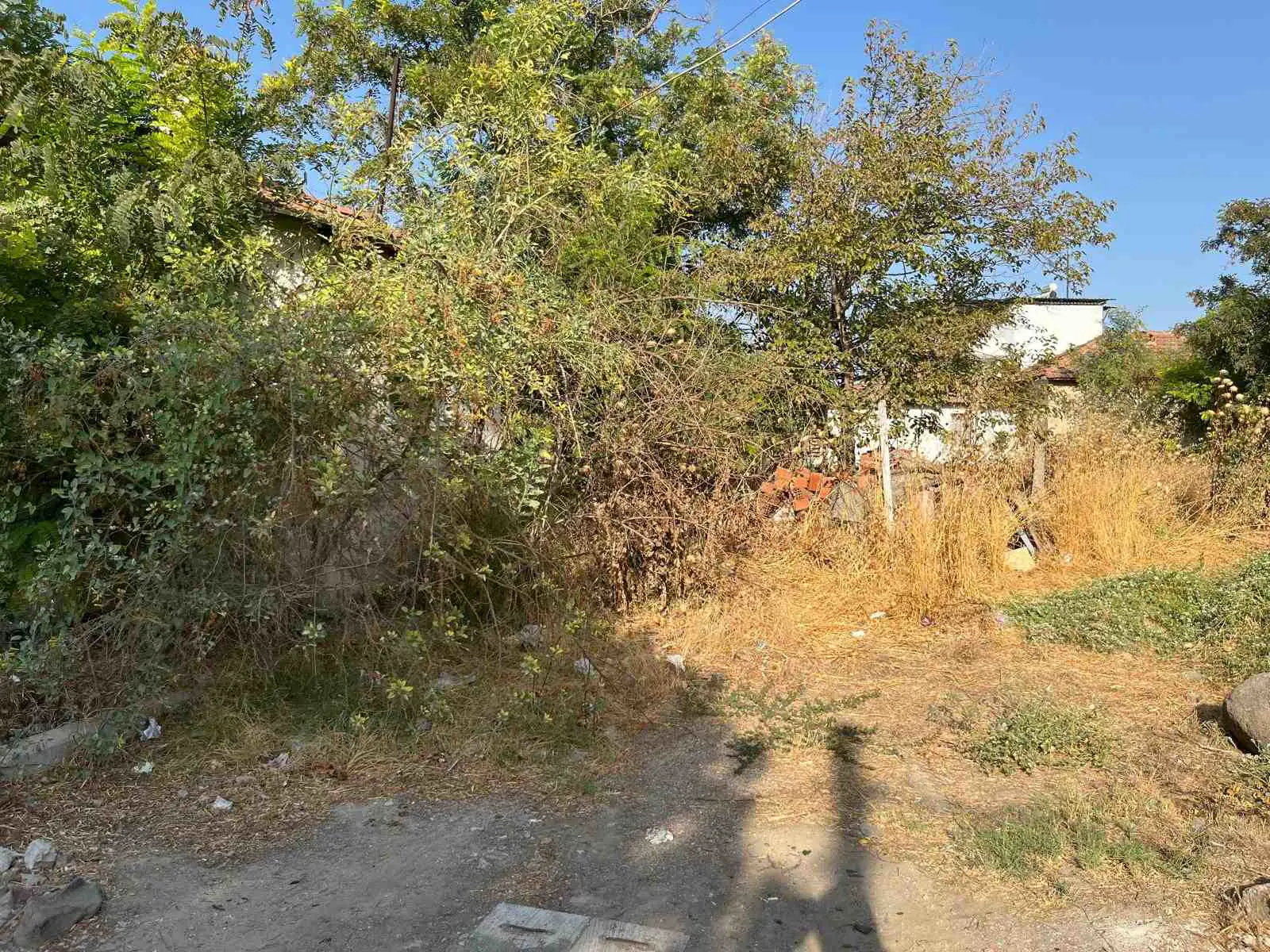 Property image 23