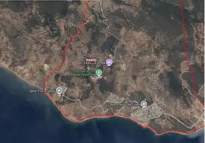 ÇANAKKALE AYVACIK KOCAKÖY’DE SATILIK 4.066 M² ZEYTİNLİK