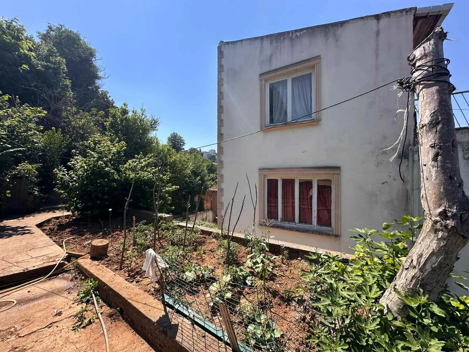 Property image 62