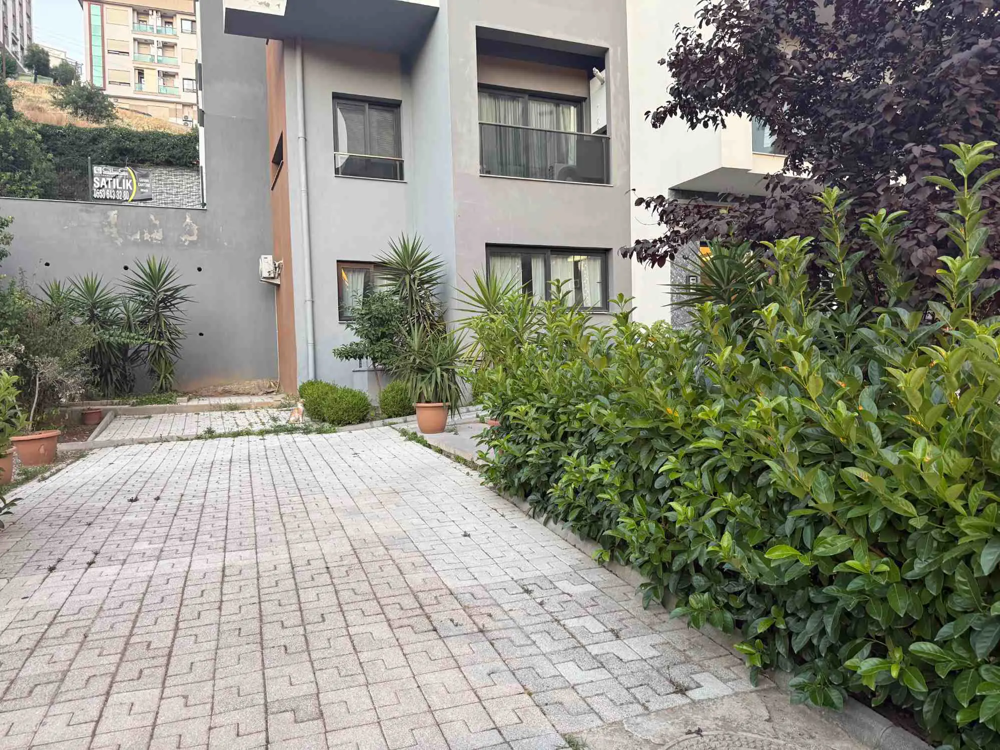 Property image 23