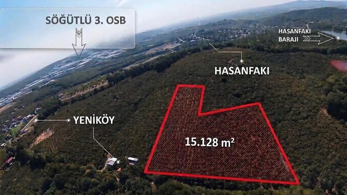 REMAX SOFT'TAN SÖĞÜTLÜ YENİ KÖY'DE 15128 M2 SATILIK FINDIK BAHÇESI