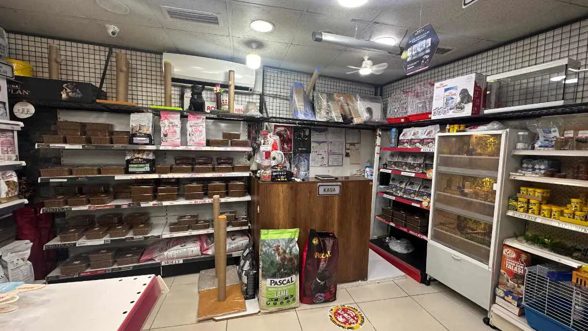 Property image 21
