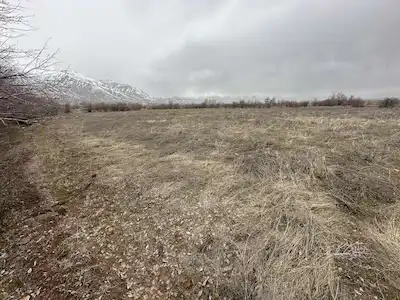 REMAX DEM DEN KILIMLI MEVKINDE 7.098 M2 SULU TARLA