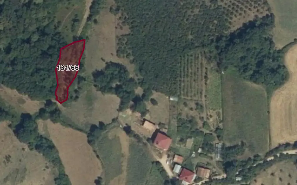 SİNOP MERKEZ TAYPAKLI’DA 960 M² YATIRIM FIRSATI
