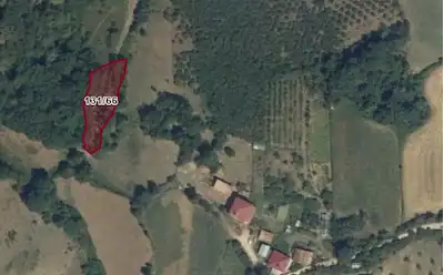 SİNOP MERKEZ TAYPAKLI’DA 960 M² YATIRIM FIRSATI