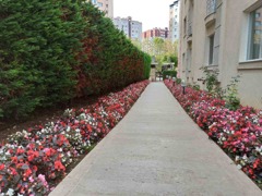 █ CAYMAZ'DAN BUTİK HAVUZLU GÜVENLİKLİ SİTEDE LÜKS EŞYALI SATILIK 3+1 █