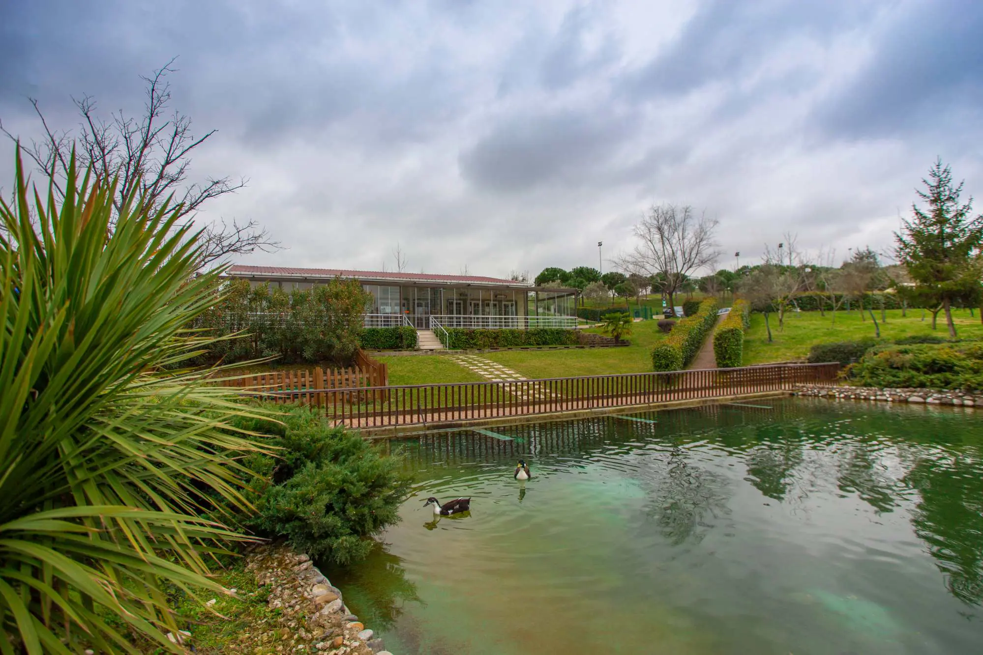 Property image 30