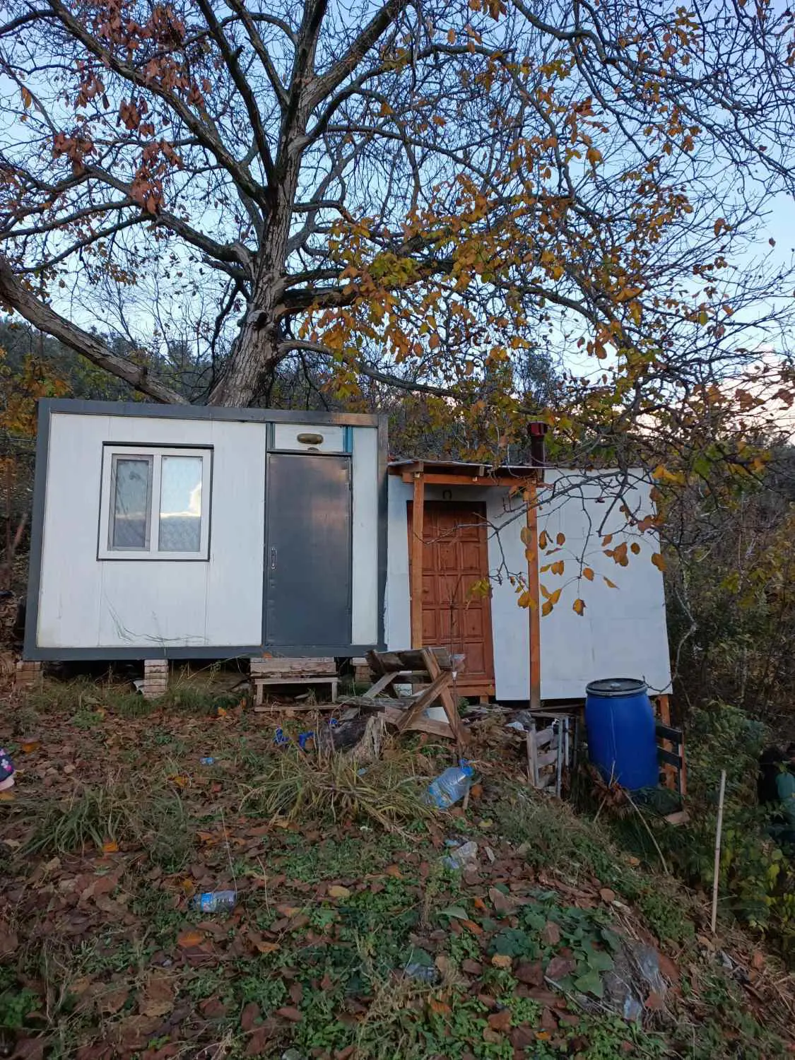 Property image 17
