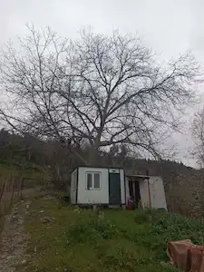 BURSA IZNIK TACIR MAH. YOLA YAKIN SATILIK TARLA