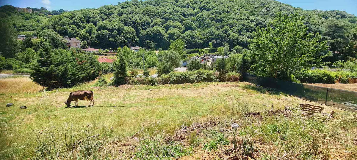 BEYKOZ ÇIFTLIKDE 1-2 VILLALIK ORMAN MANZARALI SATILIK ARSA