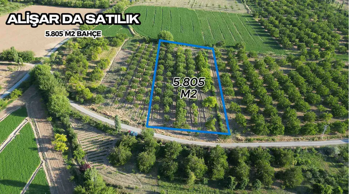 ALİŞAR DA MÜSTAKİL TAPULU 5.805 M2 BAHÇE