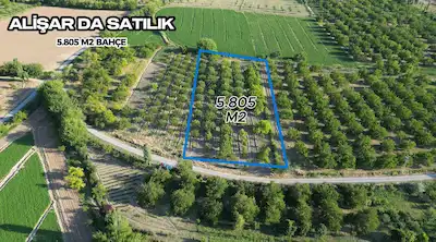 ALİŞAR DA MÜSTAKİL TAPULU 5.805 M2 BAHÇE