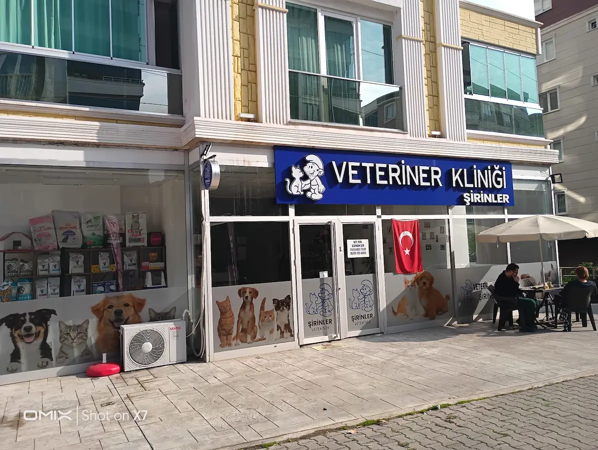 VETERİNER KİRACILI