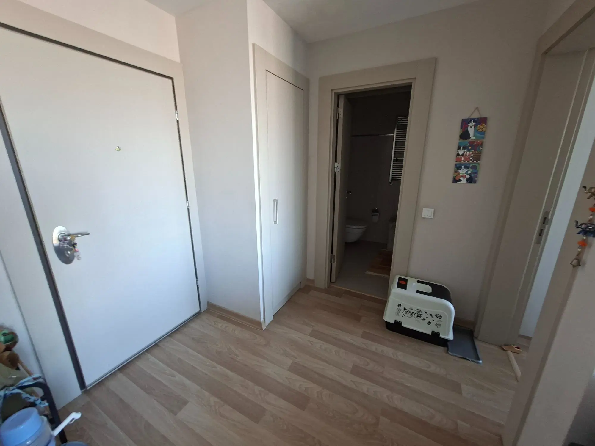 Property image 43