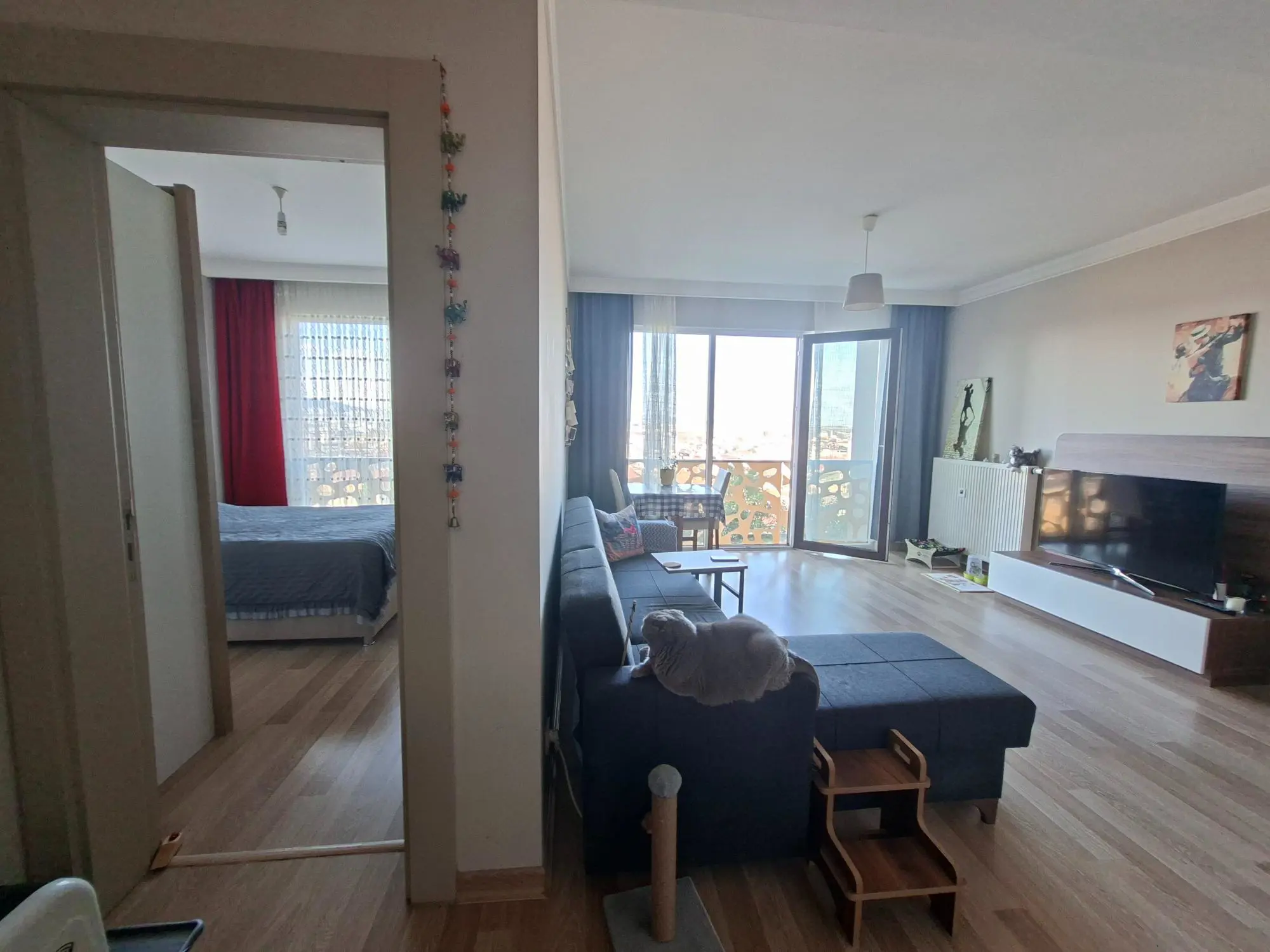 Property image 48