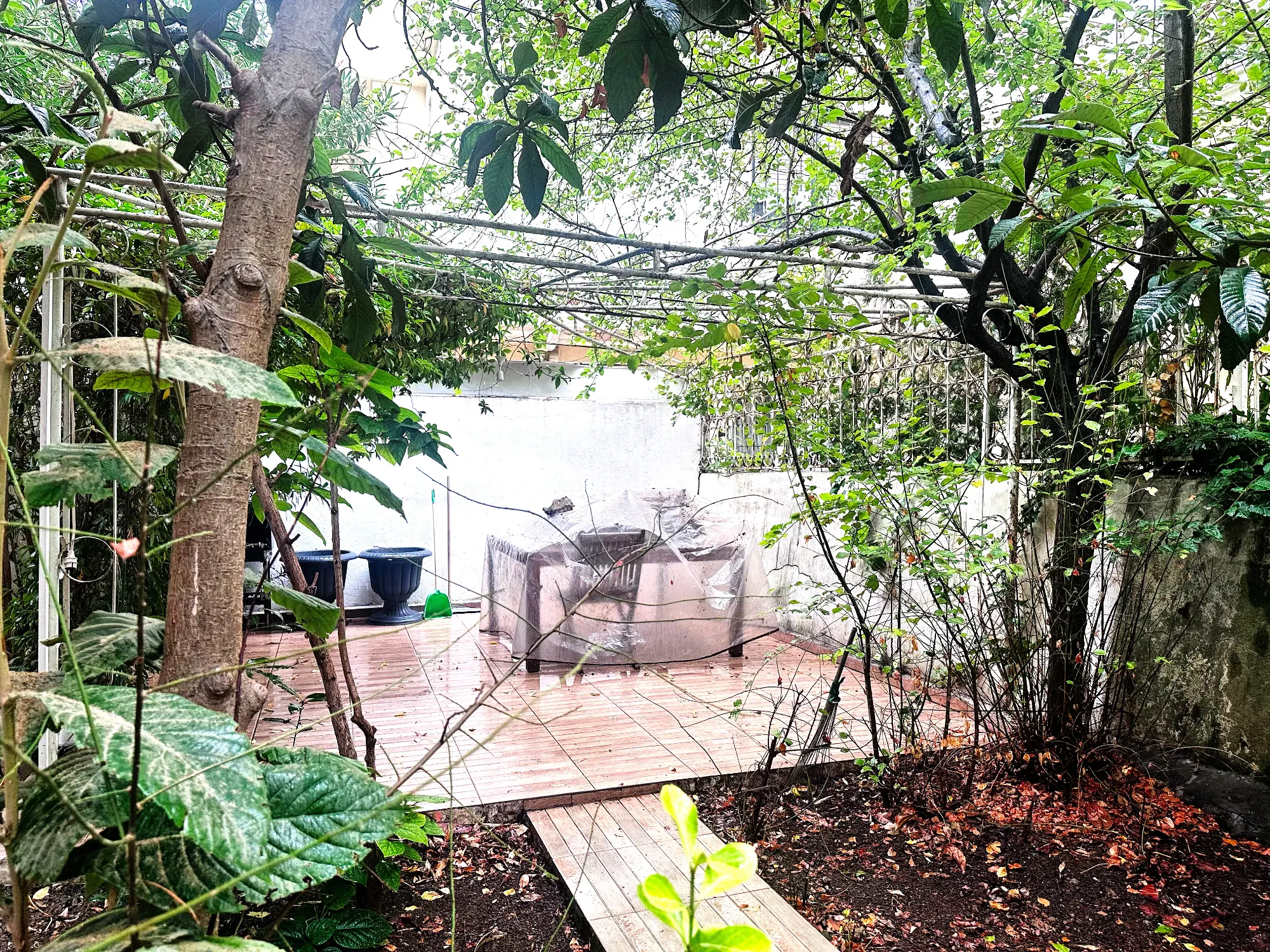 Property image 50