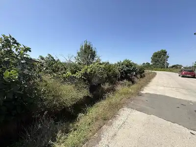TERME BAĞSARAY MAHALLESİ DENİZE VE ANAYOLA YAKIN SATILIK TARLA