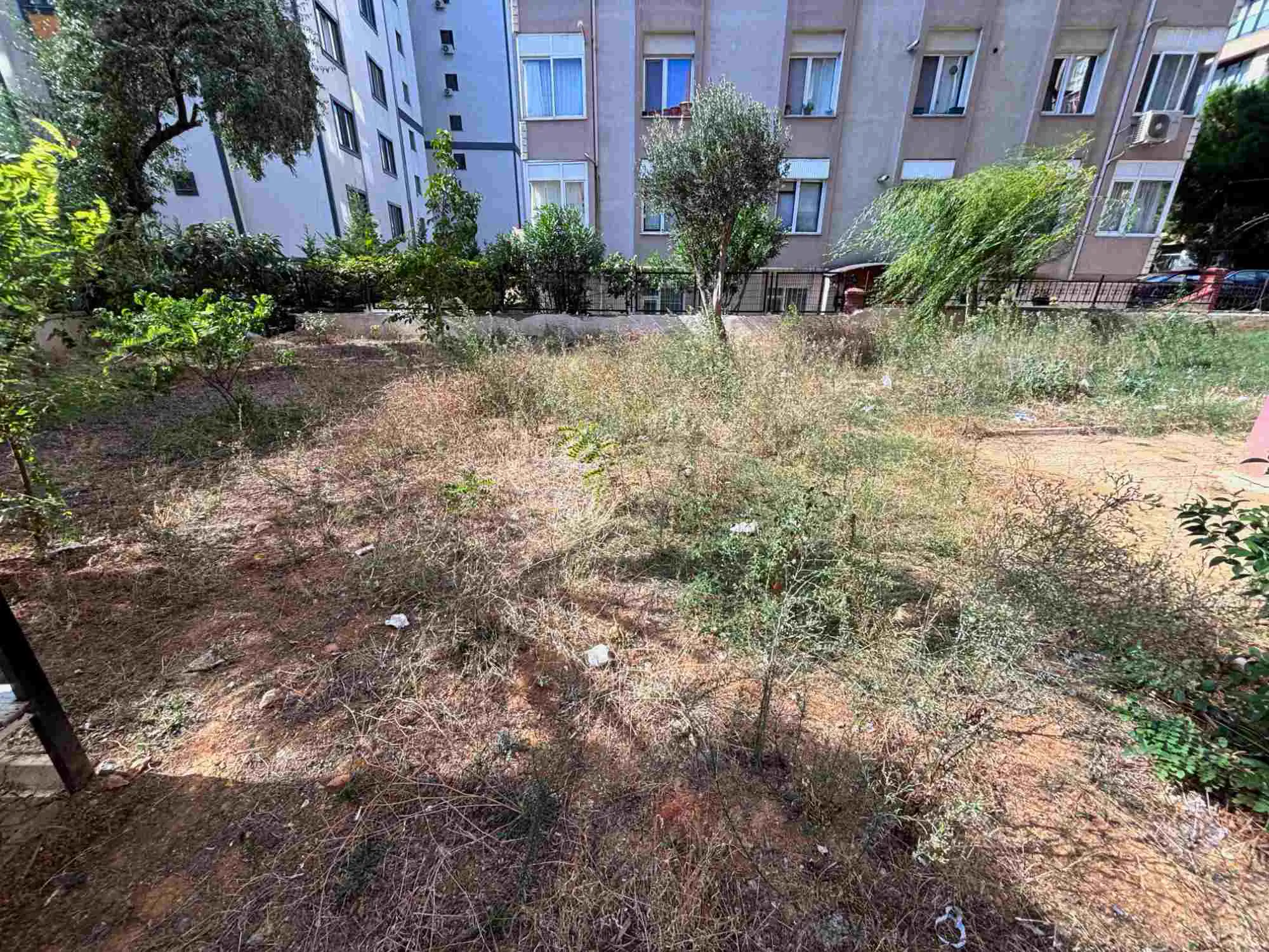 Property image 59